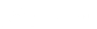 Detective Agency EU logo